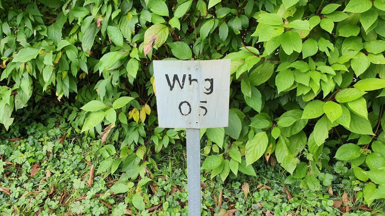 Ferienwohnung Fuer 5 Personen In Wasserburg Kültér fotó